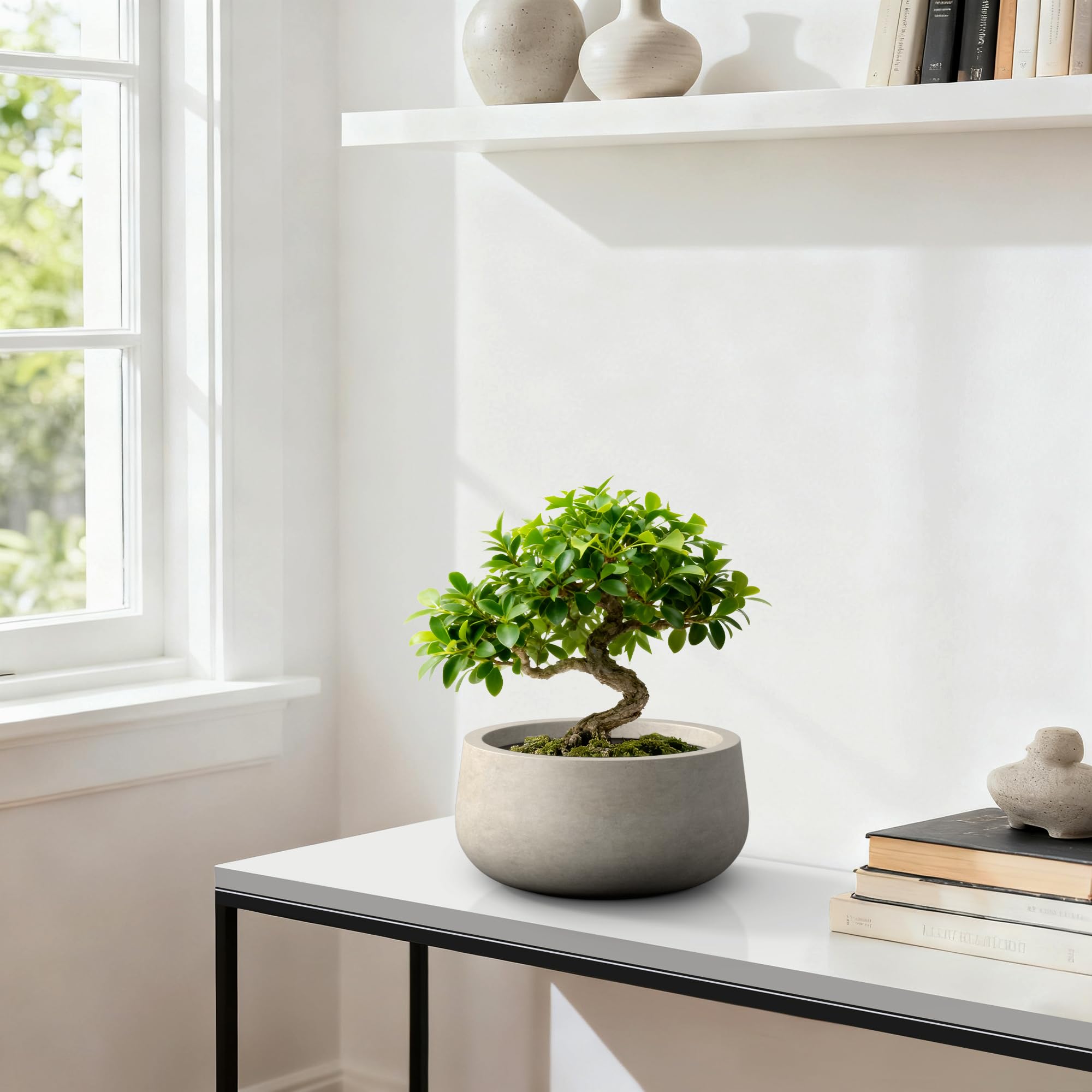 Kante 15.7" Dia Round Concrete Planter, Outdoor Indoor Garden Plant Pots with Drainage Hole and Rubber Plug, Modern Curvaceous Design, Weathered Concrete - Image 4