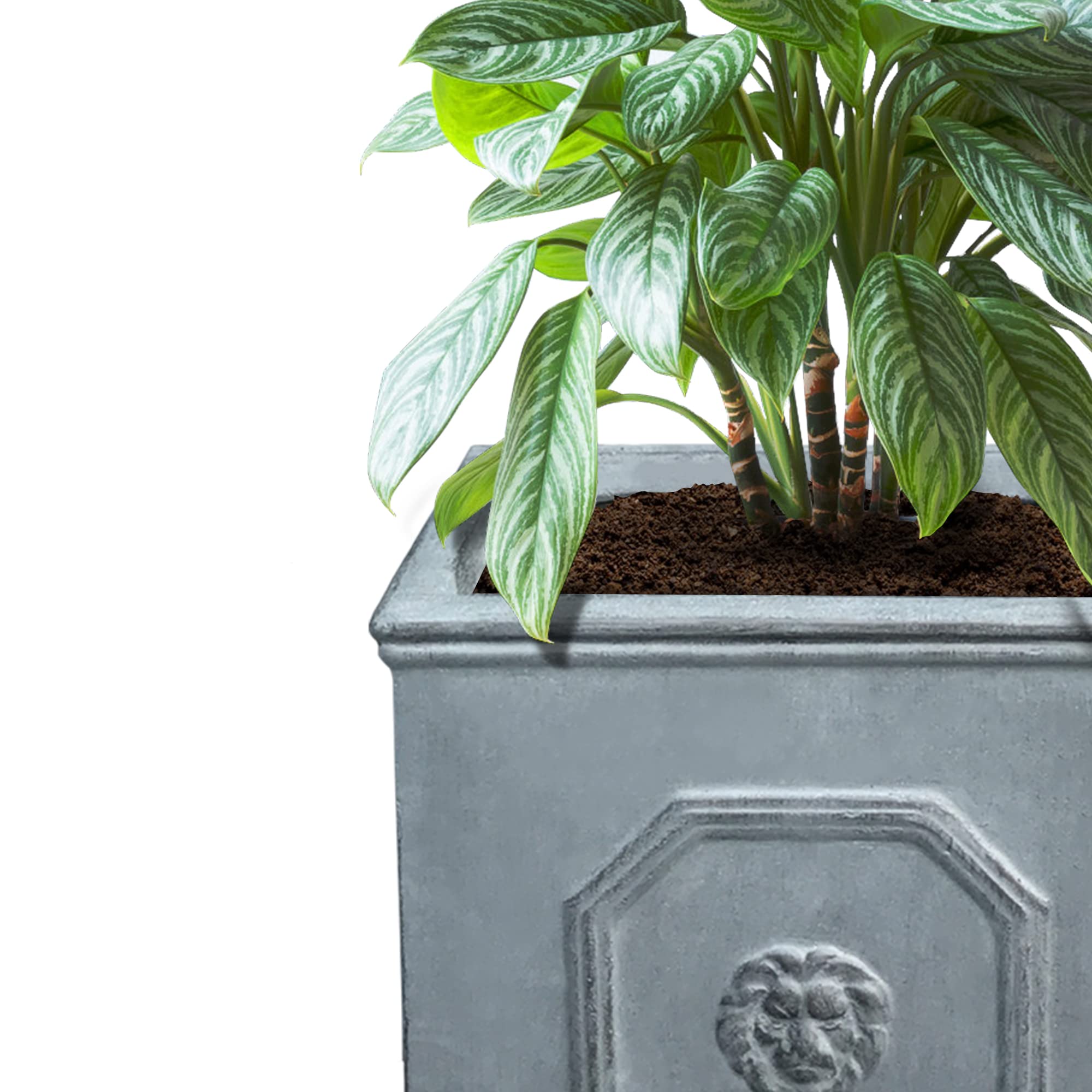 Kante Square Lion Head Concrete Planter Set of 2, Classic English Style Plant Pot with Drainage Hole and Rubber Plug for Indoor Outdoor, 10.2"x10.2"x10.2" and 12.6"x12.6"x12.6" Antique Gray - Image 3