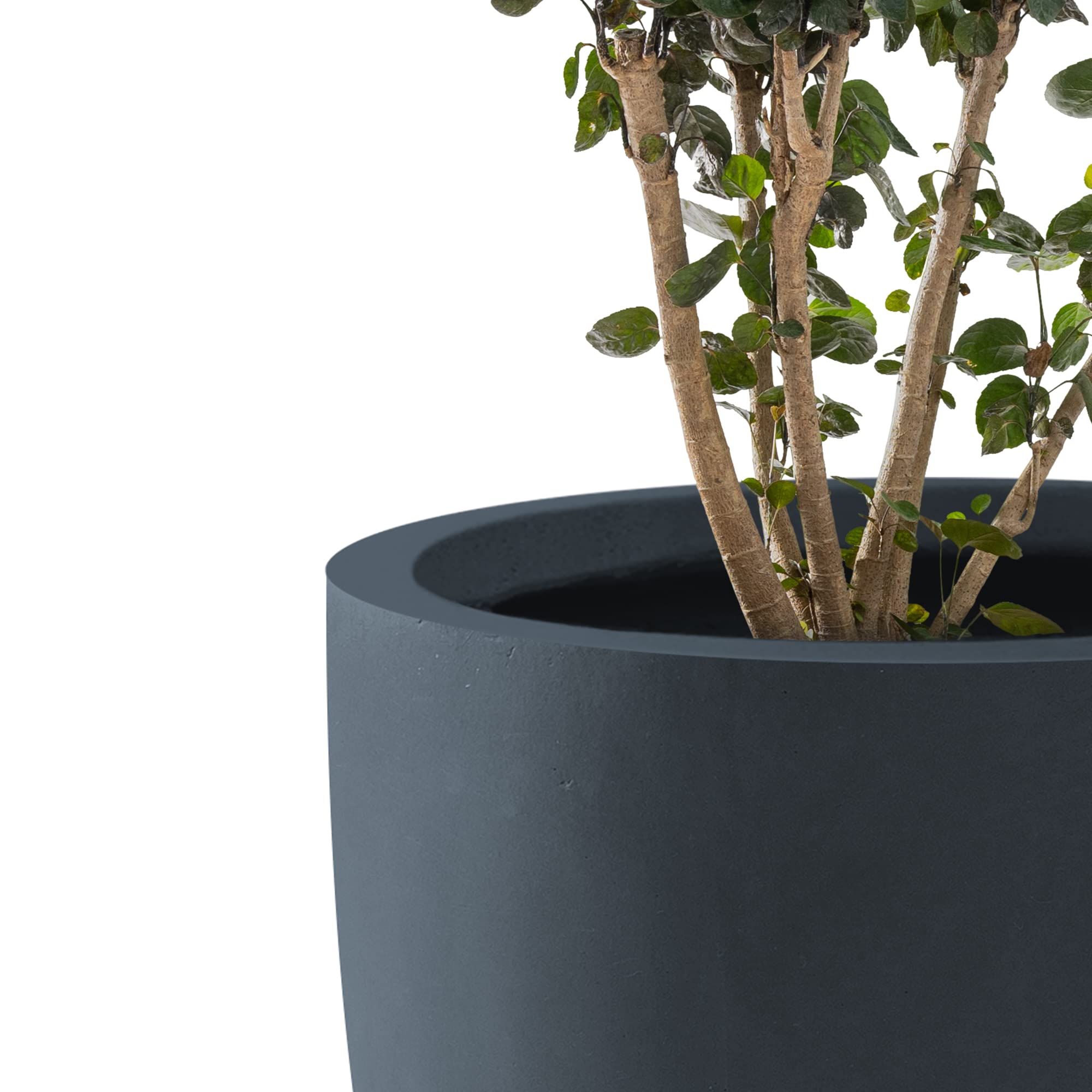 Kante 10 Inch Dia Round Concrete Planter, Indoor Outdoor Large Plant Pot with Drainage Hole and Rubber Plug for Home Patio Garden, Charcoal - Image 3