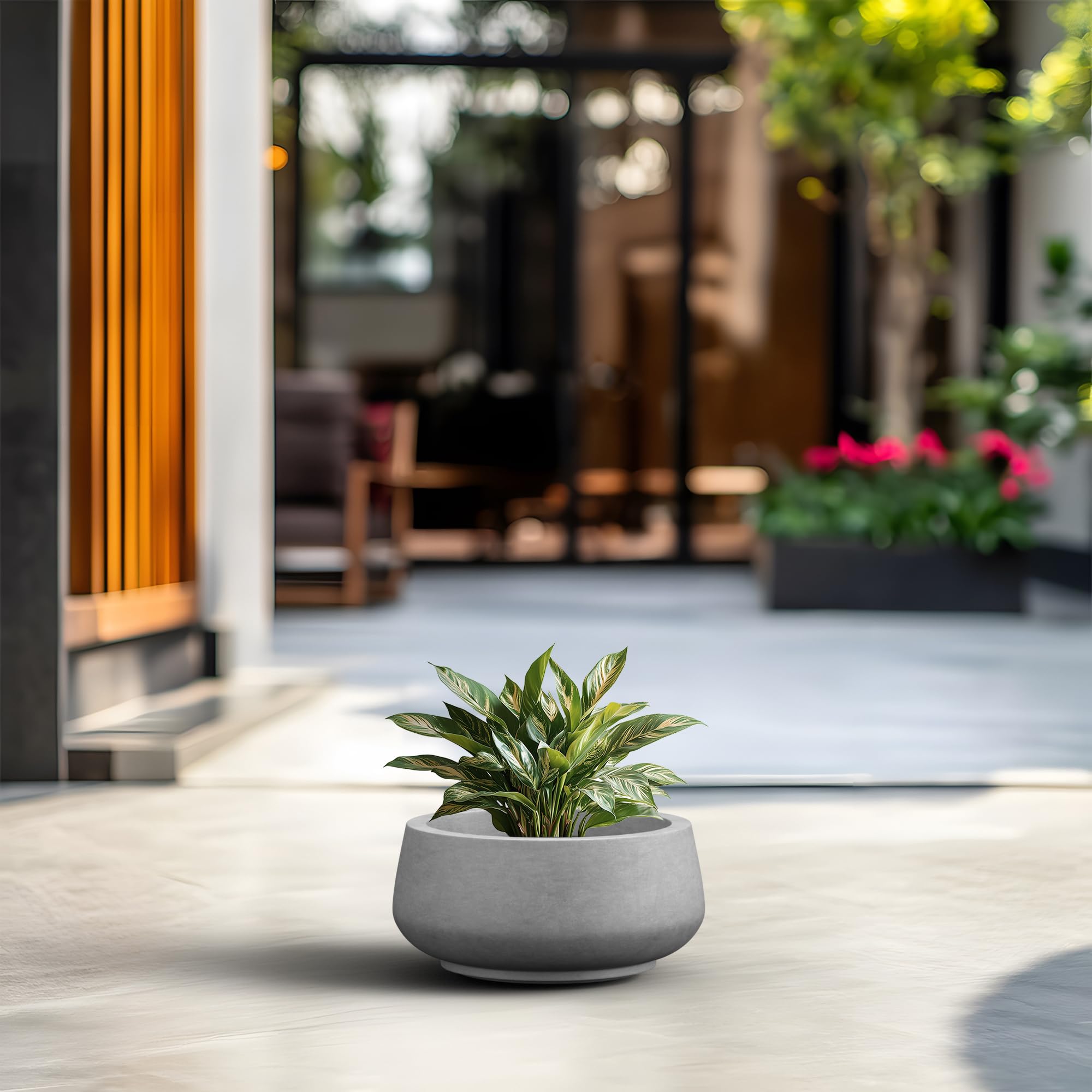 Kante 12.5" Dia Round Concrete Bonsai Planters, Outdoor Indoor Garden Plant Pot with Drainage Hole for Home, Patio, Garden, Concrete Gray - Image 3