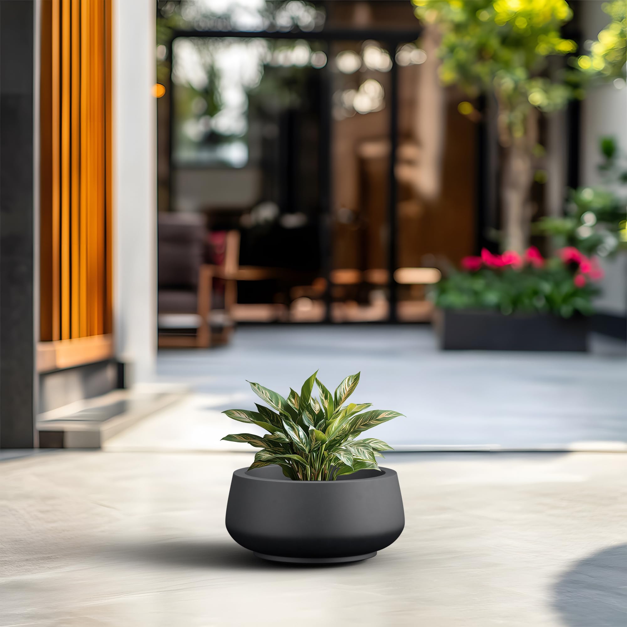 Kante 12.5" Dia Round Concrete Bonsai Planters, Outdoor Indoor Garden Plant Pot with Drainage Hole for Home, Patio, Garden, Black - Image 3