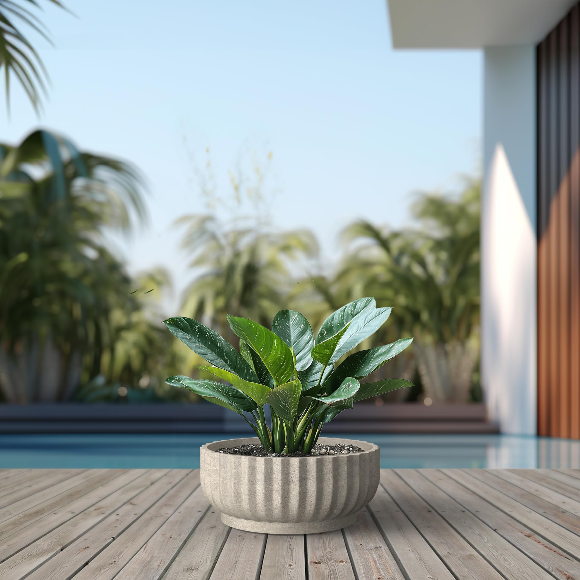 Kante Round Fulted Bowl Planter, 20.9 Inch Dia Large Concrete Flower Pots with Drainage Hole and Rubber Plug, Suitable for for Indoor Outdoor Plants, Home, Patio, Garden, Weathered Concrete - Image 6