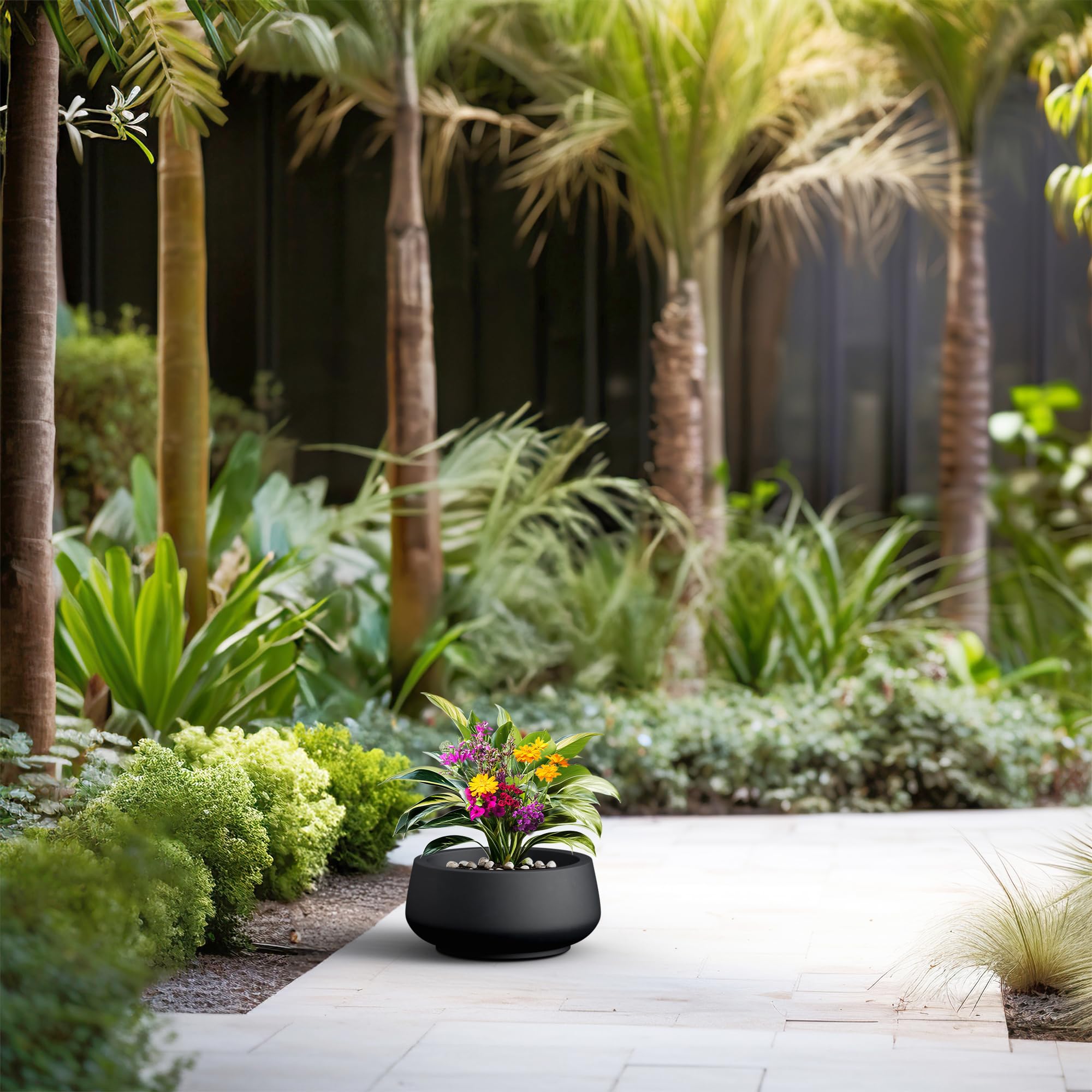 Kante 12.5" Dia Round Concrete Bonsai Planters, Outdoor Indoor Garden Plant Pot with Drainage Hole for Home, Patio, Garden, Black - Image 5