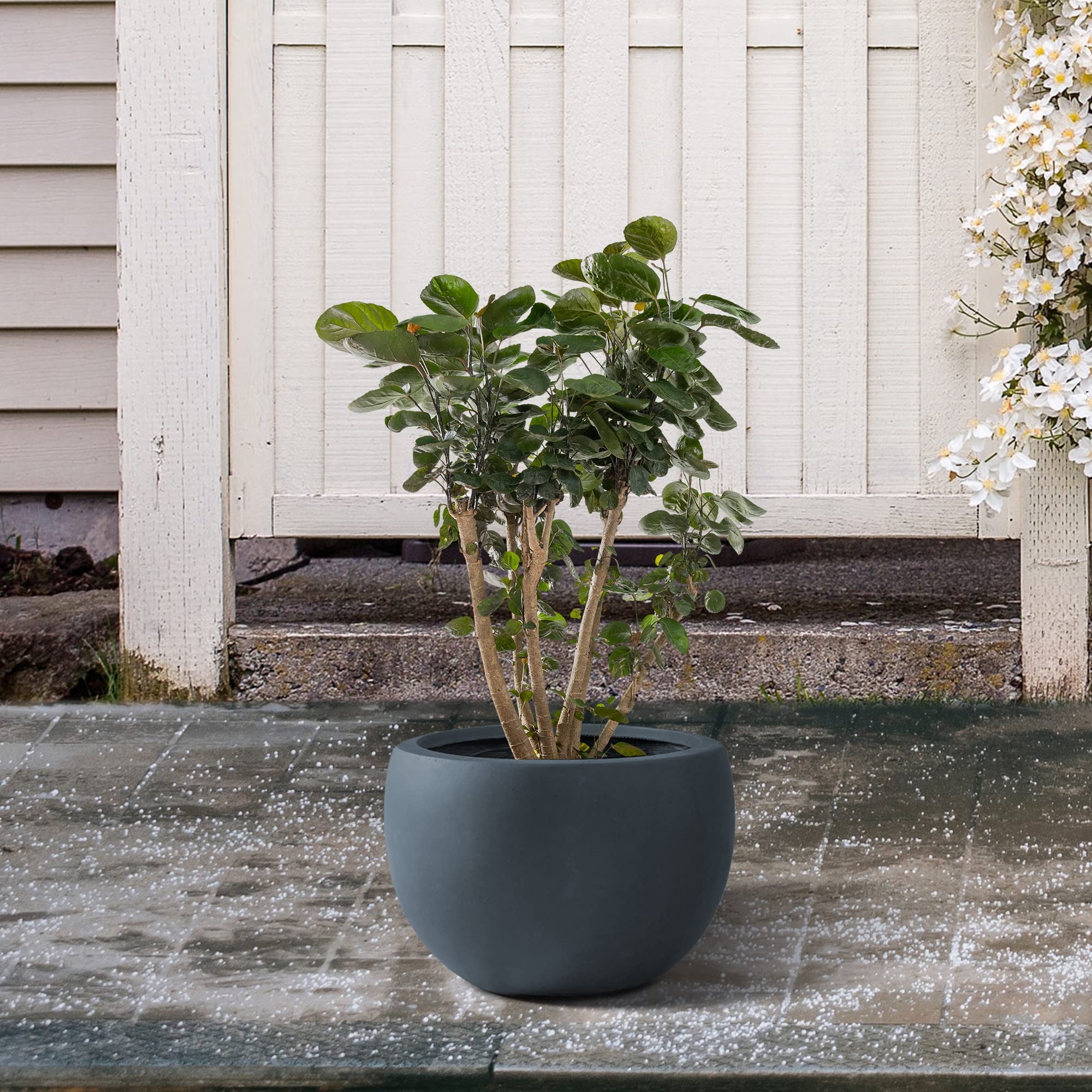 Kante 11.8" Dia Round Concrete Planter, Outdoor/Indoor Large Bowl Plant Pots with Drainage Hole and Rubber Plug for Garden Patio Balcony Home, Charcoal - Image 5