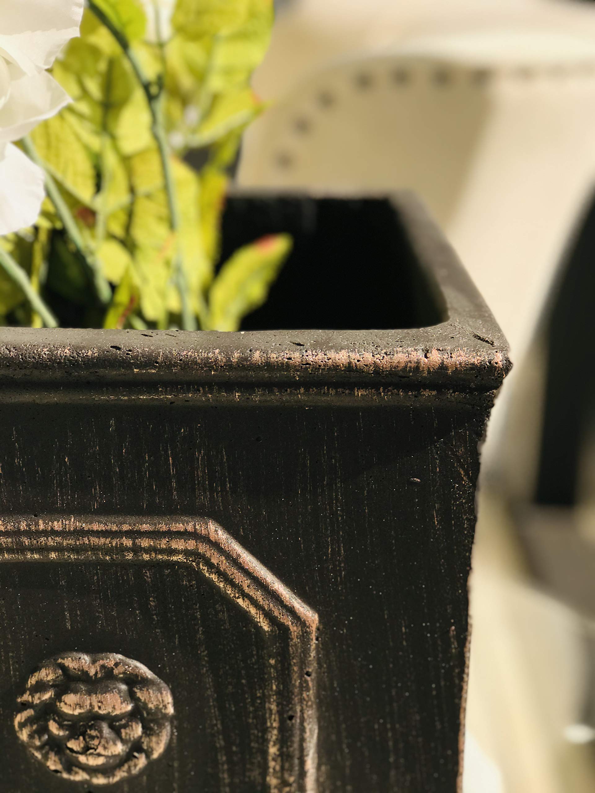 Kante Square Lion Head Concrete Planter, Classic English Style Plant Pot with Drainage Hole and Rubber Plug for Indoor Outdoor Garden Patio Home, 12.6"x12.6"x12.6" Oil Rubbed Bronze - Image 4