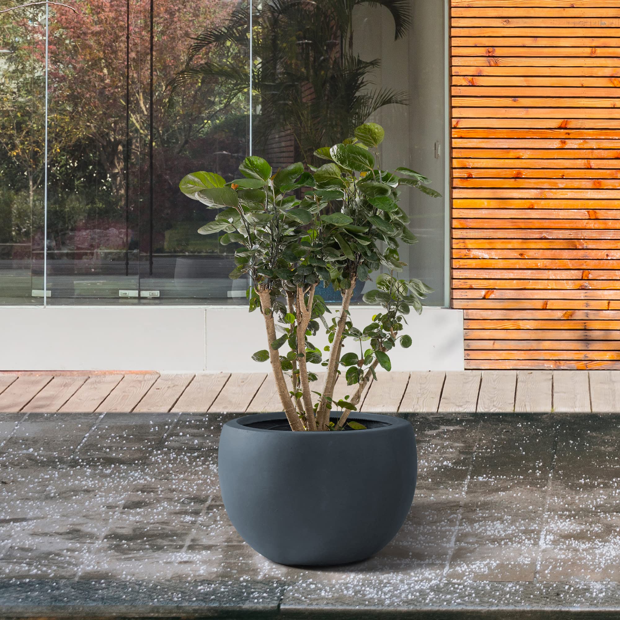 Kante 11.8" Dia Round Concrete Planter, Outdoor/Indoor Large Bowl Plant Pots with Drainage Hole and Rubber Plug for Garden Patio Balcony Home, Charcoal - Image 6